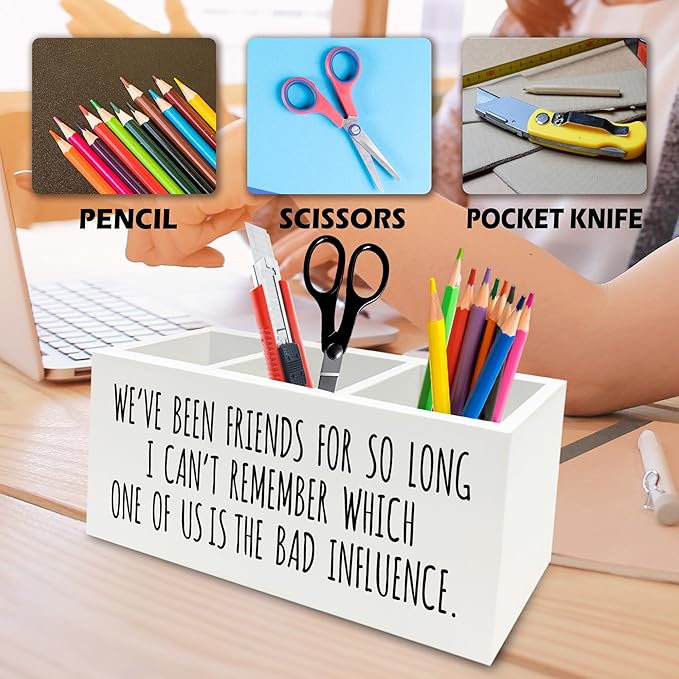 QZQE Funny Sarcastic Friendship Pen Pencil Holder Organizer - Image 6