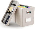 Oterri File Organizer Box with Lid, Hanging Filing File Box with Mesh Pocket by Oterri