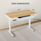 FLEXISPOT Q5 Standing Desk - Image 3