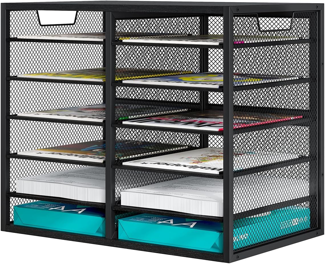 PAG Mass Mail Holder, Adjustable Countertop Literature Organizer, Student Mai...