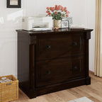 blini 2 Drawer File Cabinet Farmhouse Lateral File Cabinet by blini