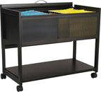 Safco Mobile File Cart, Fits Letter and Legal-Size Hanging Folders, Includes a by SafcoProducts