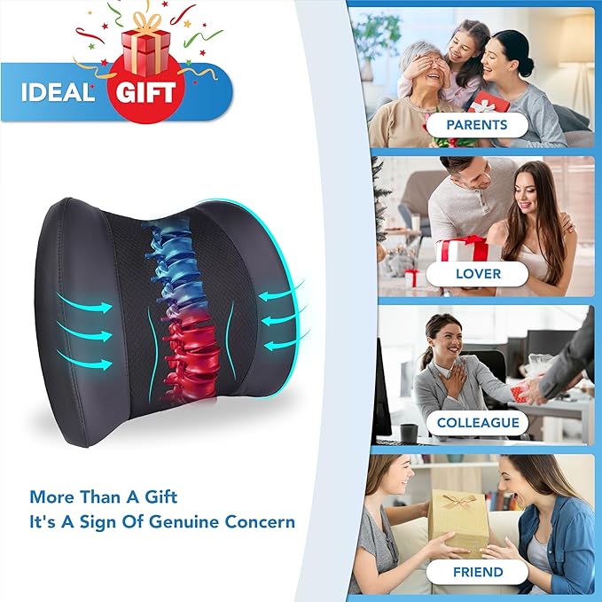 Lofty Aim Lumbar Support Pillow - Image 6