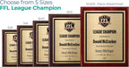Fantasy Football Plaque - Personalized Award for Champion - Trophy for League Winner - Choose Your Size - Customize Now! (10.5x13)