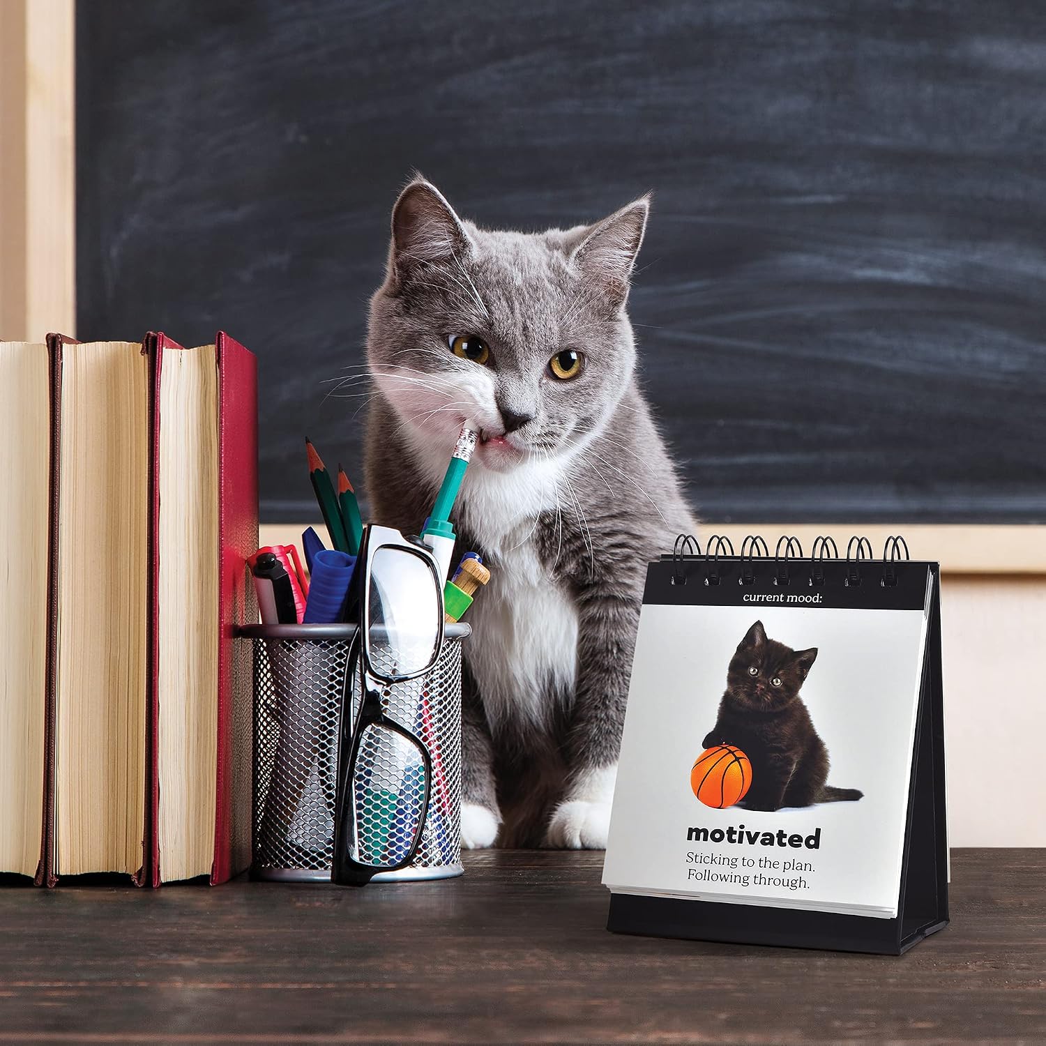 Genuine Fred Daily Cattitude Desktop Flipchart