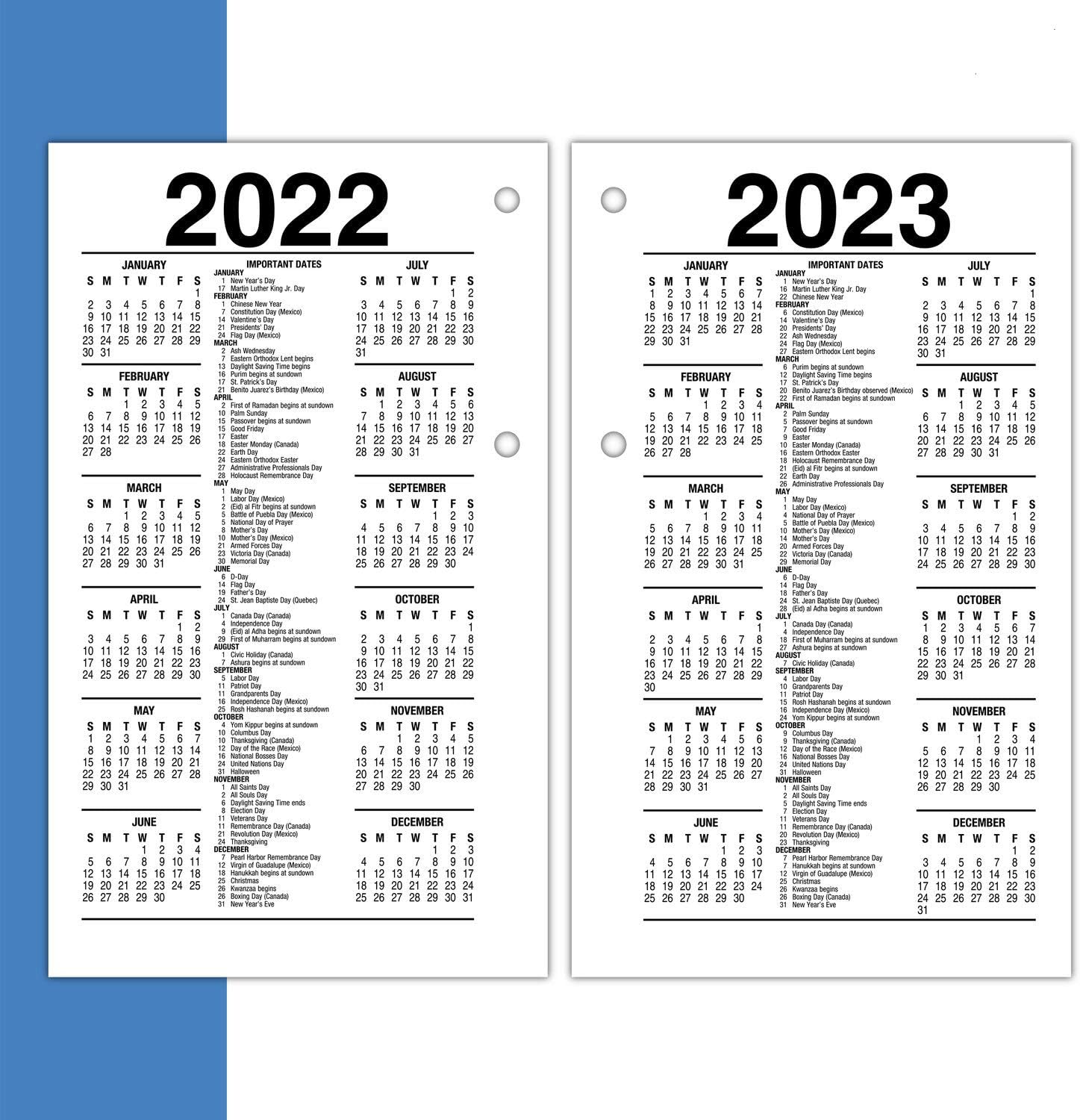 2021 Daily Desk Calendar Refill by AT-A-GLANCE, 3-1/2" x 6", Loose-Leaf (E7175021)