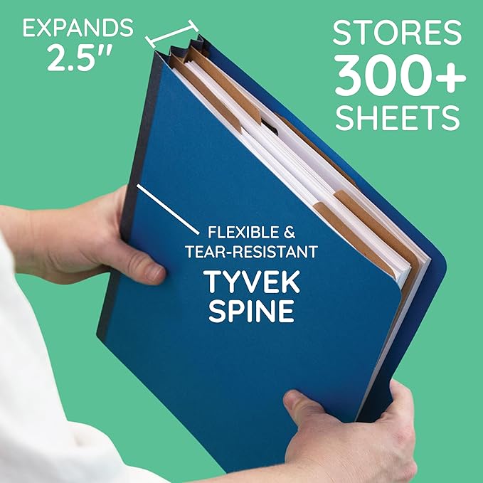 10 Blue Classification Folders - Image 2