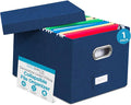 Internet's Best Collapsible File Storage Organizer by BIRDROCKHOME