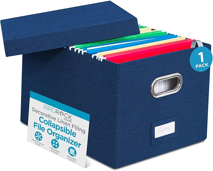 Internet's Best Collapsible File Storage Organizer by BIRDROCKHOME