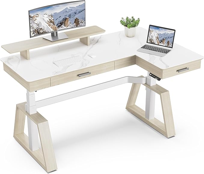 EUREKA ERGONOMIC Electric Standing Desk by EUREKAERGONOMIC