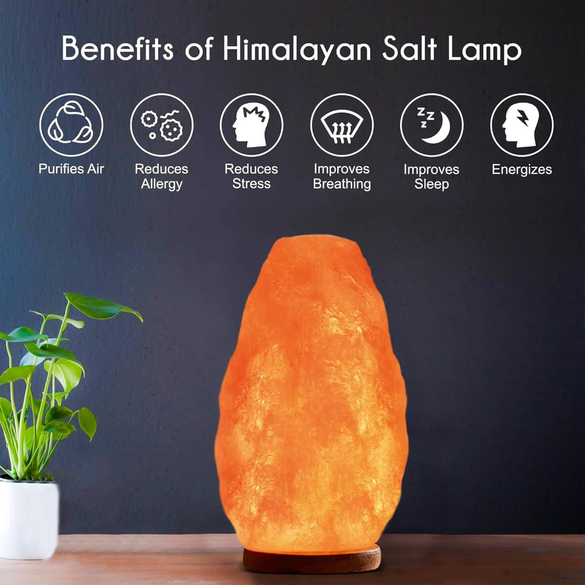 Himalayan Glow Salt Lamp with Touch Dimmer Switch, 5-7 lbs, Natural Pink Crys...
