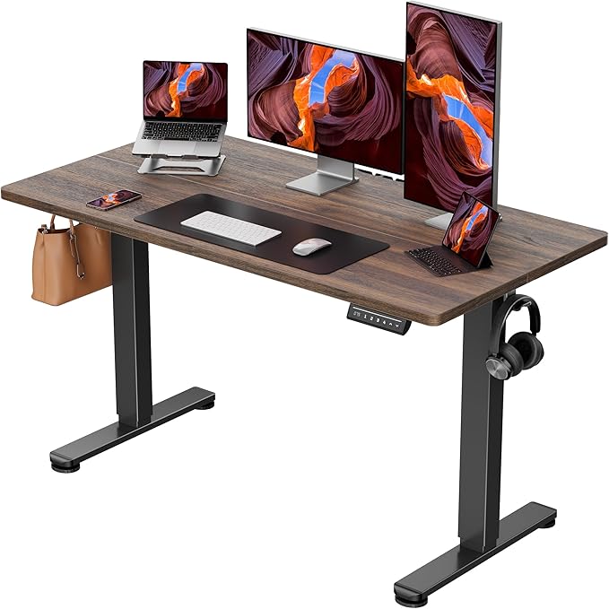 ErGear Height Adjustable Electric Standing Desk, 48 x 24 Inches Sit Stand up by ErGear