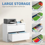 FLIXELIO File Cabinets 2 Drawer, Metal Office Storage Filing Cabinet - Image 4