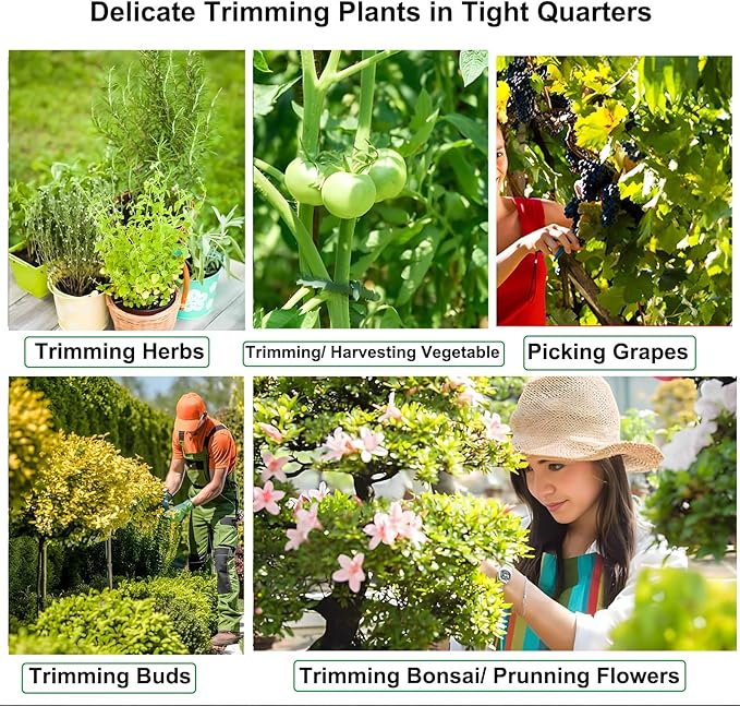 BEoffer 4 Pack Pruning Shears, 6.5 Inch Garden Scissors Gardening Hand Pruning - Image 8