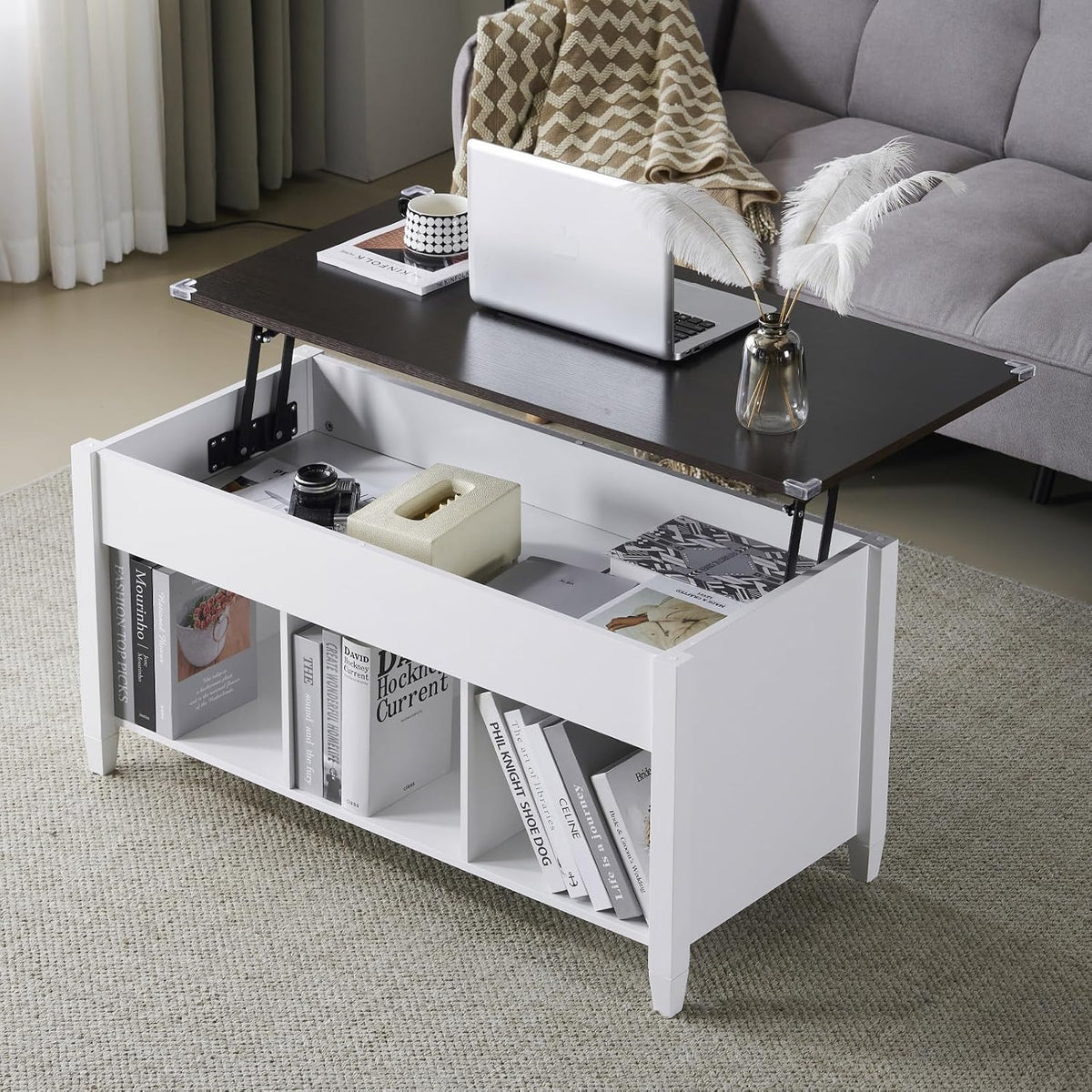 VINGLI Farmhouse Lift Top Coffee Table with Hidden Storage,40",White