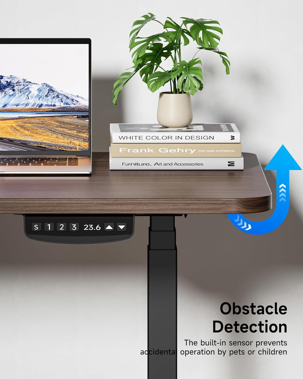 bizum dual motor 3-stage electric standing desk frame,3 on a desk or shelf