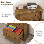 blini 2 Drawer File Cabinet Farmhouse Lateral File Cabinet - Image 3