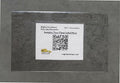 Mighty Line Heavy Duty Clear Label Protectors Cover by MightyLine