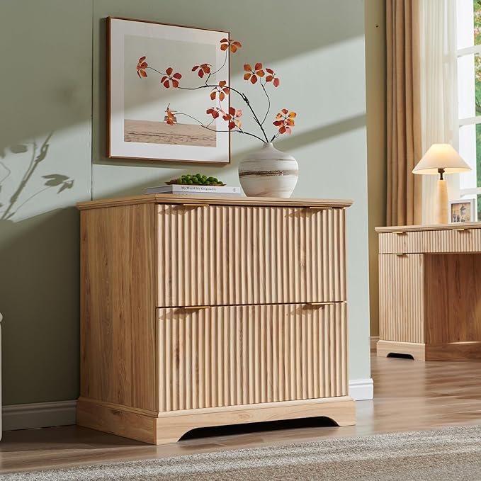 JXQTLINGMU 2 Drawer File Cabinet by JXQLINGMUFurniture