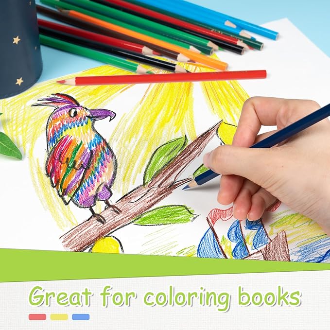 S & E TEACHER'S EDITION Colored Pencils 240Pcs, Coloring Pencils Set Drawing - Image 6