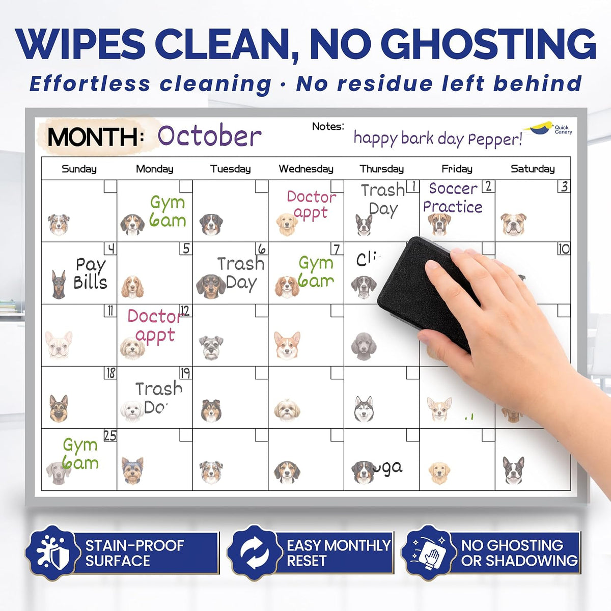 Large Magnetic Puppy Dog Calendar for Fridge, 17x12" Monthly