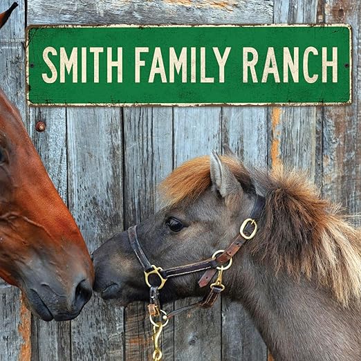 Custom Rustic Sign, Personalized Decor Street Signs Gift, 24x6 Inches, Fade - Image 6