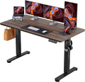 ErGear Height Adjustable Electric Standing Desk, 55 x 28 Inches Sit Stand up by ErGear