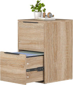 FATIGOS Wood File Cabinet 2 Drawer Filing Cabinets
