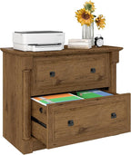 blini 2 Drawer File Cabinet Farmhouse Lateral File Cabinet - Image 6