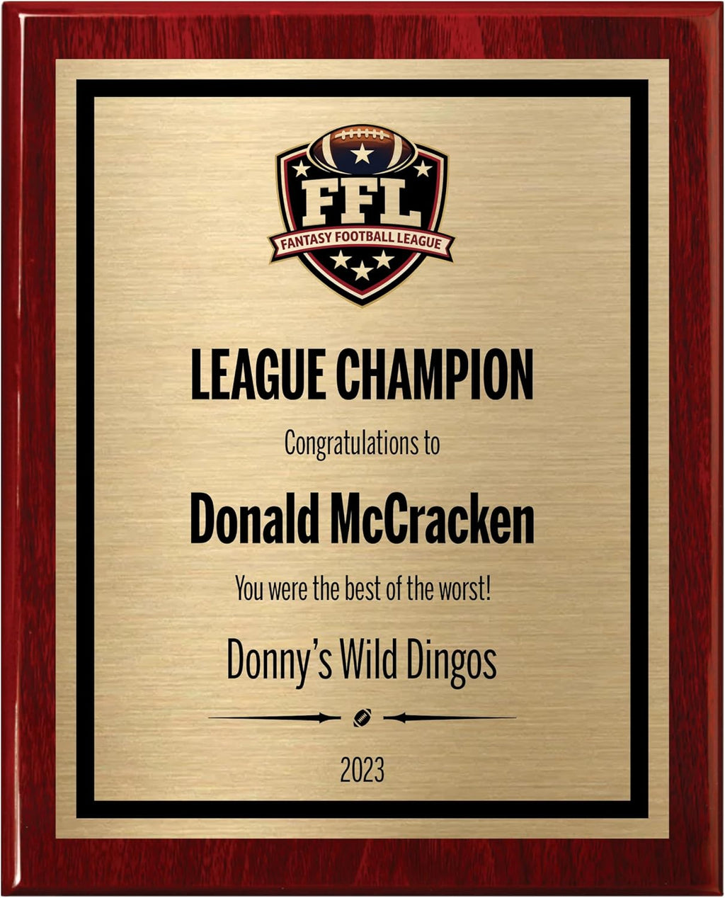 Fantasy Football Plaque - Personalized Award for Champion - Trophy for League Winner - Choose Your Size - Customize Now! (10.5x13)