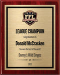 Fantasy Football Plaque - Personalized Award for Champion - Trophy for League Winner - Choose Your Size - Customize Now! (10.5x13)