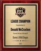 Fantasy Football Plaque - Personalized Award for Champion - Trophy for League Winner - Choose Your Size - Customize Now! (10.5x13)
