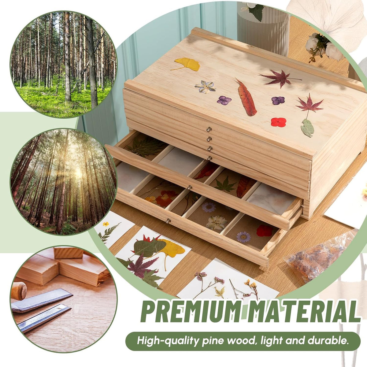 aceorbit 6 drawer wooden pressed flower storage box, close-up detail