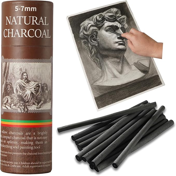 Trzzyan 25 PCS Willow Charcoal Sticks, and Fine Art, 5.7 Inches Long by Unknown