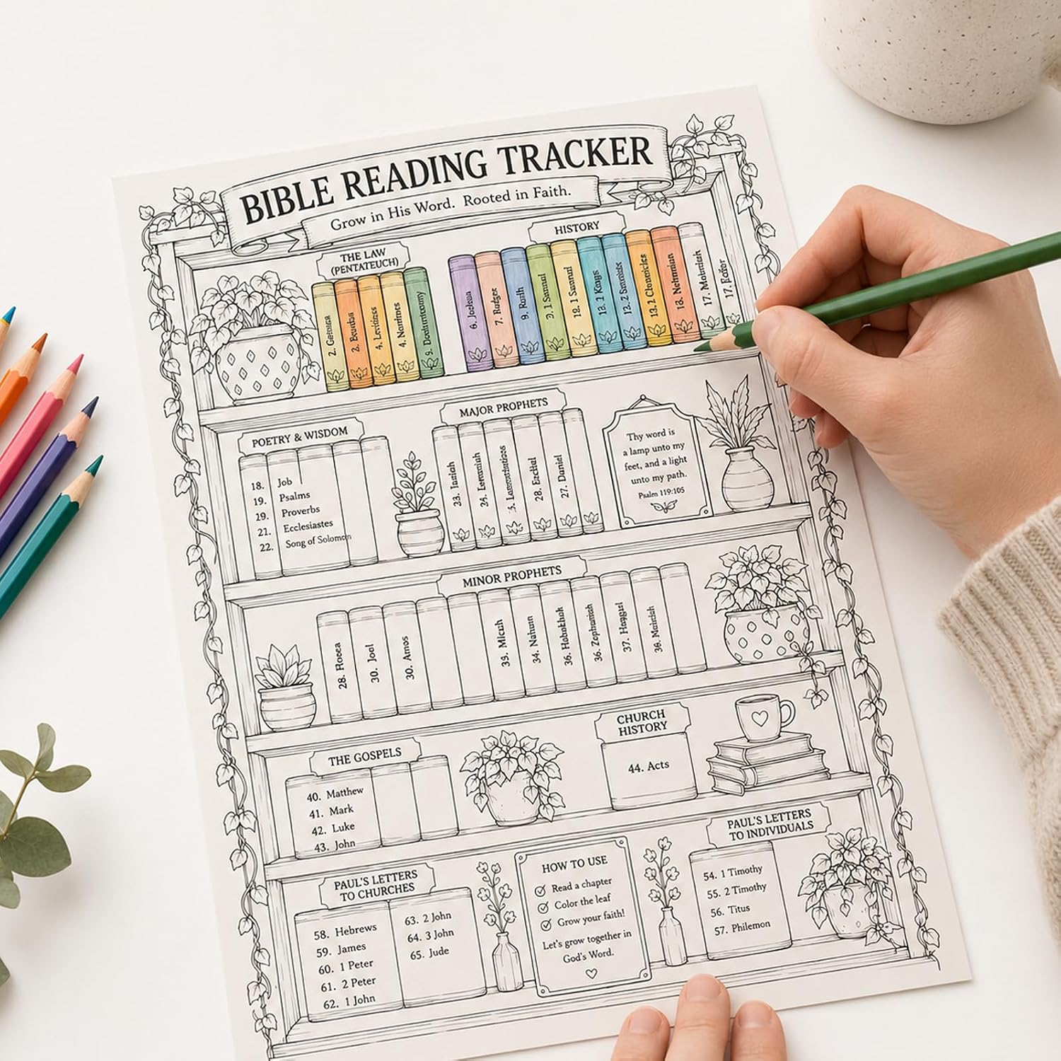 Bible Reading Tracker Bible Labels Bible Study Stickers Bible Study Supplies Unique Gifts for Bible Readers Beginning the Journey of Deeper Reading in the Bible (Macaron Bookshelf)
