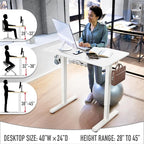 SHW 40-Inch Electric Height Adjustable Standing Desk - Image 5