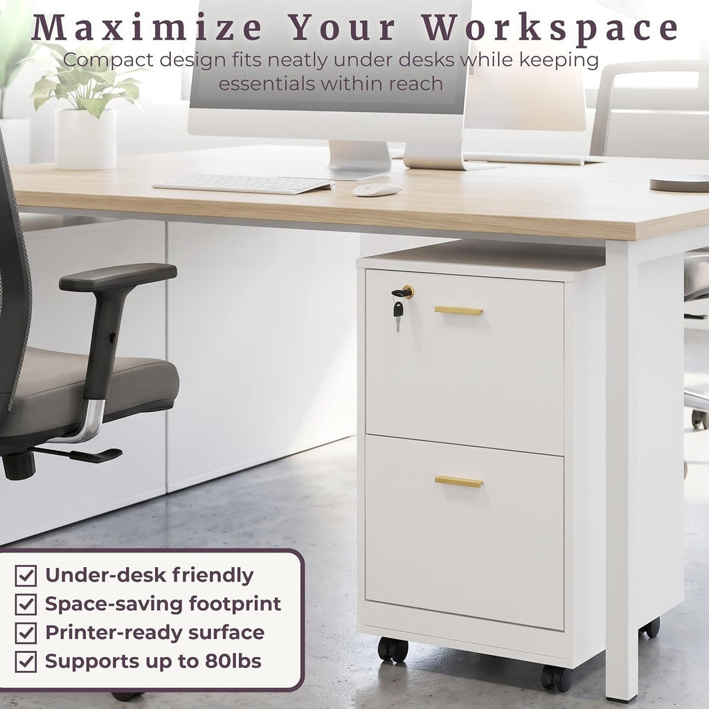 lavish home 2-drawer wooden file cabinet with lock, package contents