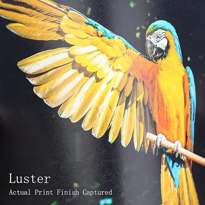 Koala Ultra Premium Photo Paper 8.5 x 11 In Luster Photo Printer Paper - Image 2