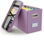 Oterri File Organizer with Lid, Hanging Filing Box with Mesh Pocket, Document by Oterri