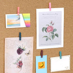 JOANCÉE 50 PCS Wooden Clips Colorful Push Pins Tacks - Image 7