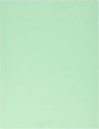 LUXPaper 8.5" x 11" Paper | Letter Size | Pastel Light Green | 60lb. Text | 250