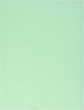 LUXPaper 8.5" x 11" Paper | Letter Size | Pastel Light Green | 60lb. Text | 250 by LUXPaper