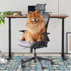 Anidaroel Home Office Chair Mat - Image 7