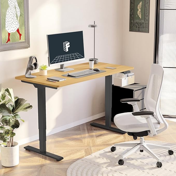 FLEXISPOT E6 3-Stage Dual Motor 60 x 24 Electric Standing Desk Sit Stand Up Desk - Image 2
