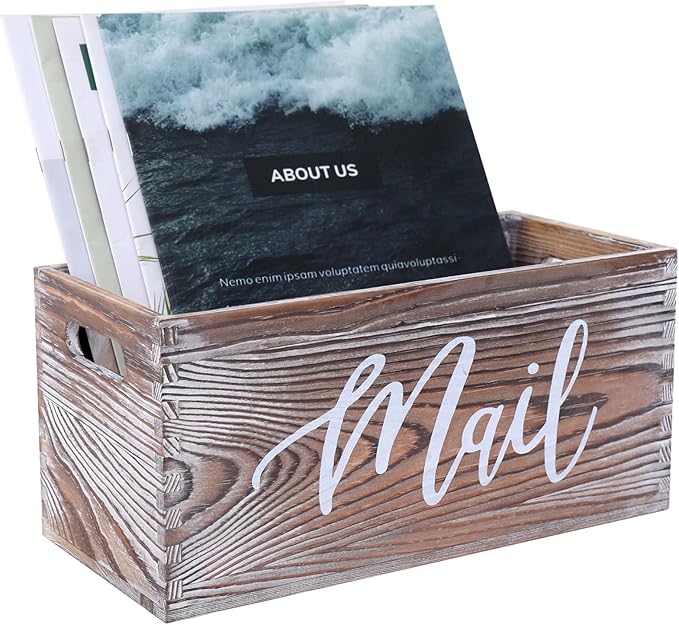 CFYACFY Mail Organizer Magazine Countertop Mail Storage Organizer by CFYACFY