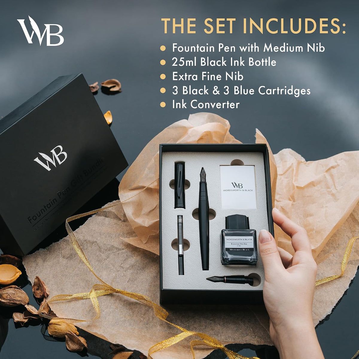 Wordsworth & Black Fountain Pen Gift Set, Medium & Extra Fine Nib,All...