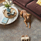 GENIMO 9x12 Area Rugs for Living Room, Machine Washable Non Slip Vintage Rugs - Image 5