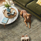 GENIMO 2x3 Area Rugs for Living Room, Machine Washable Non Slip Vintage Rugs - Image 4