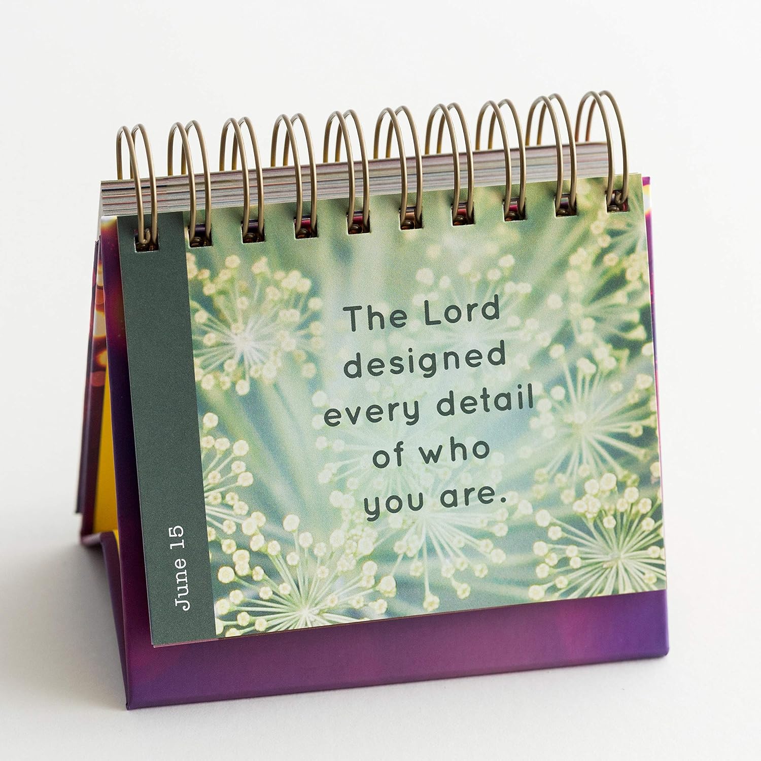 DaySpring - Shine Bright Every Day: Sparkling Reflections of You - A DaySpring Inspirational DayBrightener - Perpetual Calendar (10176)