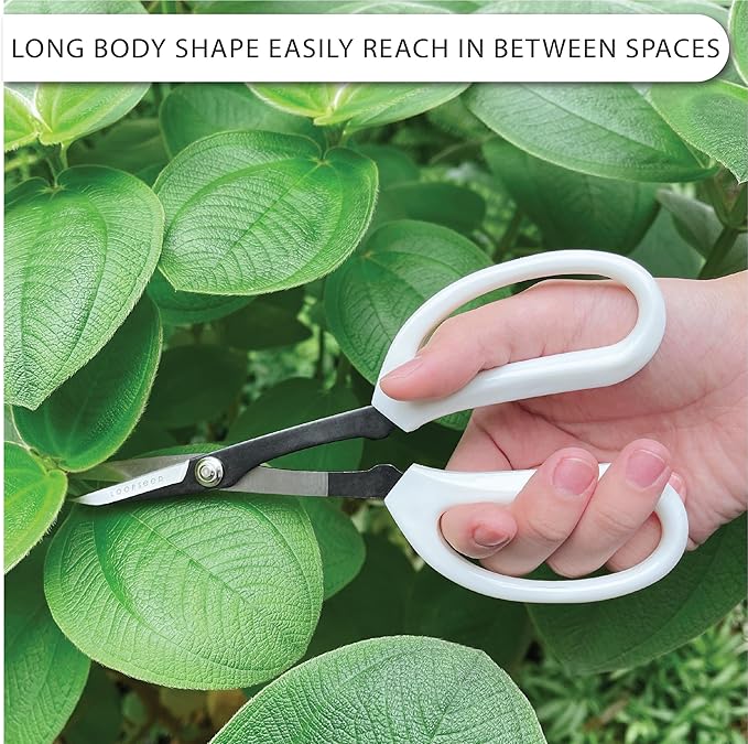 LOOPSEED Precision Gardening Scissors Plant Trimming Pruning Shears Garden - Image 4